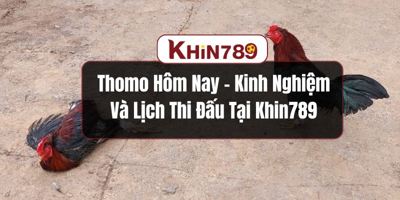 Thomo hôm nay