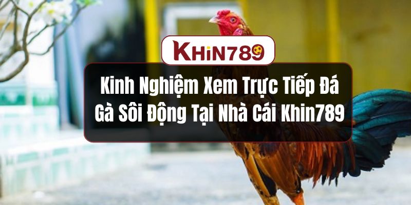 trực tiếp đá gà