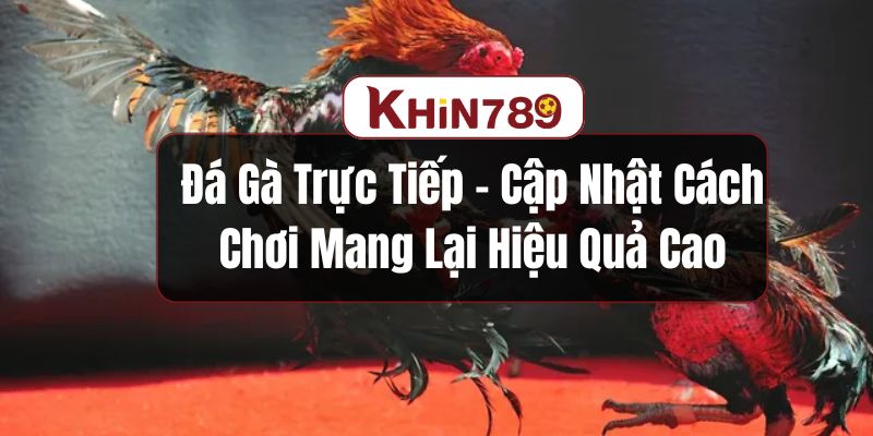Đá gà trực tiếp