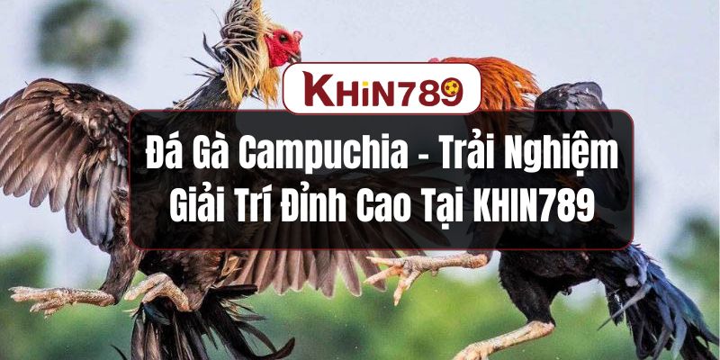 Đá gà Campuchia