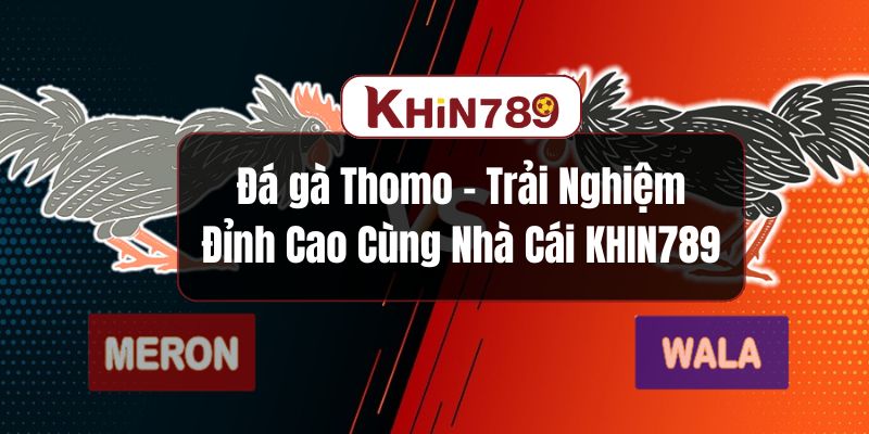 Đá gà Thomo